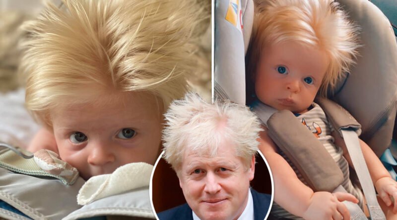 Un Bebe De Trois Mois Devient Une Celebrite Grace A Sa Ressemblance Avec Boris Johnson Thepressfree