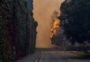 La province sud-africaine connaît 14 incendies de forêt majeurs en été