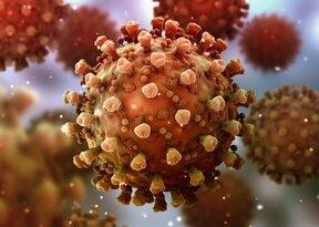 Mise à jour COVID-19 du 21 janvier : Voici les dernières informations sur le coronavirus en Colombie-Britannique