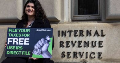 Près de 141 000 personnes ont déclaré leurs impôts en ligne directement auprès de l'IRS cette année